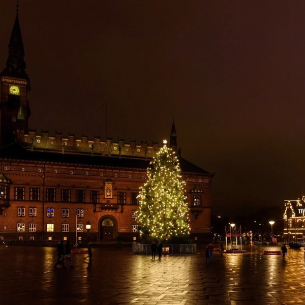 Bustur til Frederiksberg Slot og Jul i København