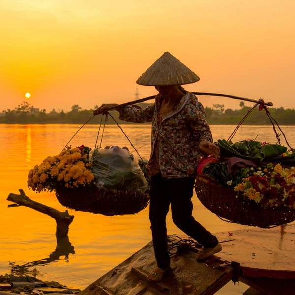 Det ydmyge Land - VIETNAM