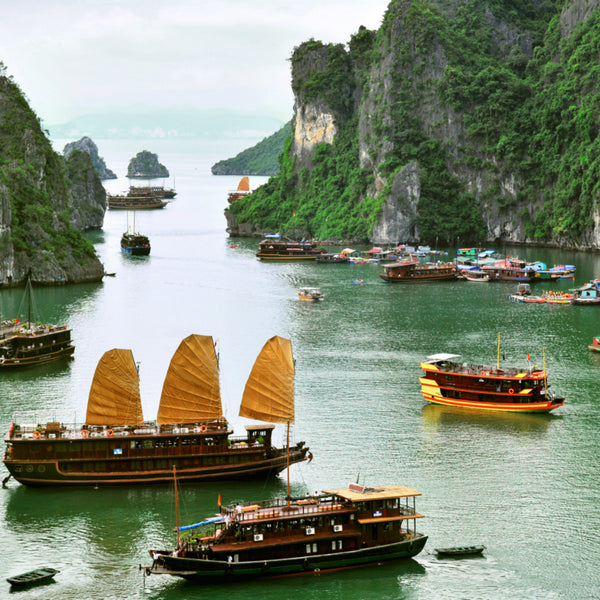 Det ydmyge Land - VIETNAM