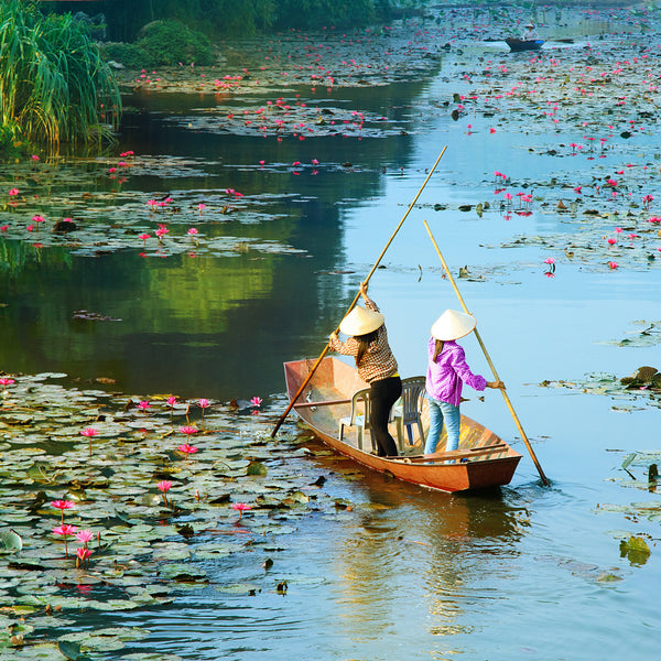 Det ydmyge Land - VIETNAM
