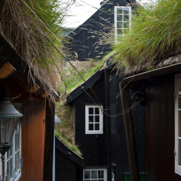 Huse med græs på taget 