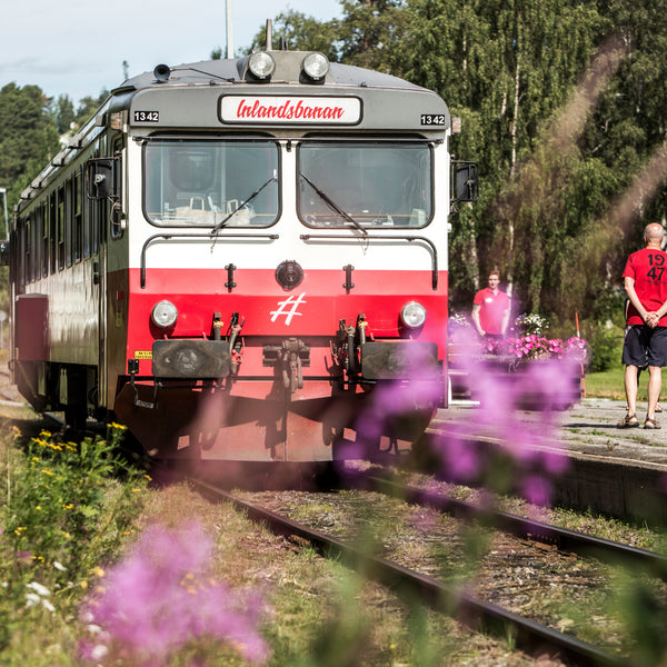 Inlandsbanan gennem Sveriges ”baghave" - Trækunst, samisk kultur & storslået natur