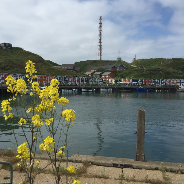 Nordtyskland med besøg på HELGOLAND