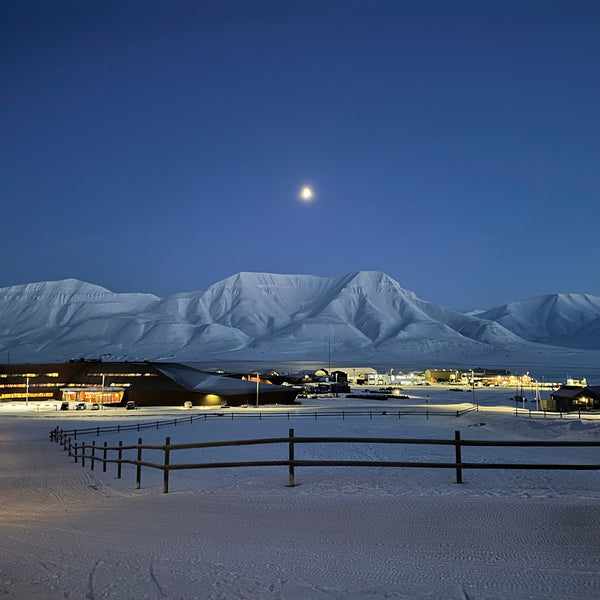Oplev Tromsø og Svalbards unikke dyreliv, gletsjere og uspolerede natur
