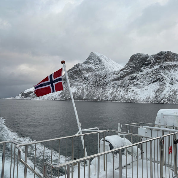 Oplev Tromsø og Svalbards unikke dyreliv, gletsjere og uspolerede natur