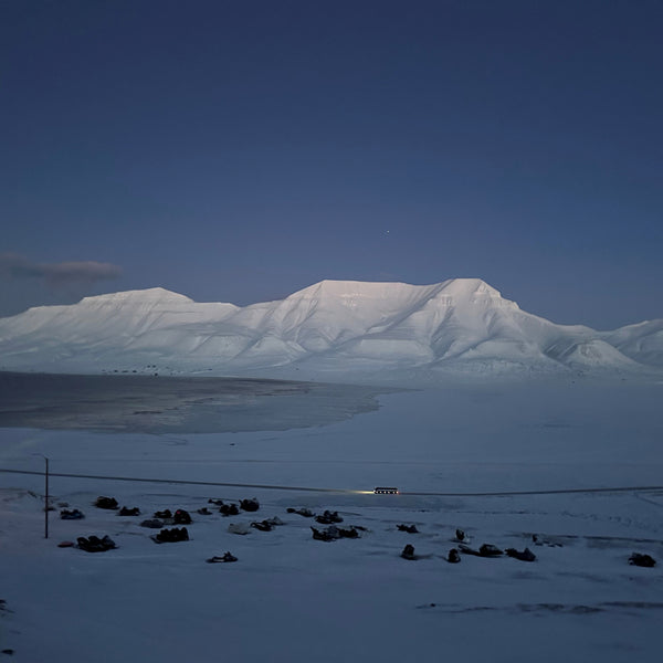 Oplev Tromsø og Svalbards unikke dyreliv, gletsjere og uspolerede natur