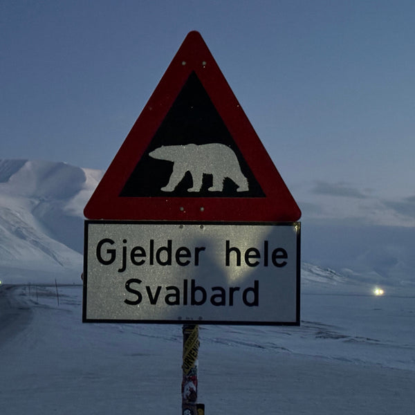 Oplev Tromsø og Svalbards unikke dyreliv, gletsjere og uspolerede natur