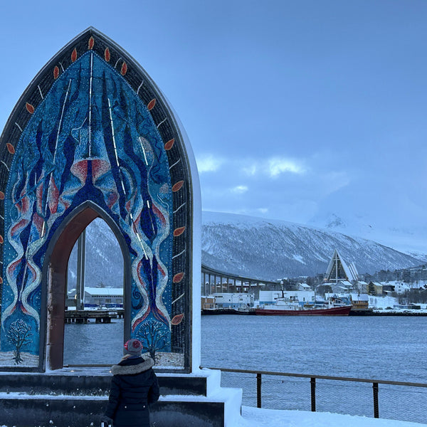 Oplev Tromsø og Svalbards unikke dyreliv, gletsjere og uspolerede natur