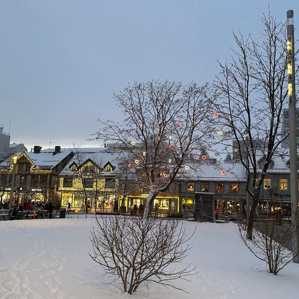 Oplev Tromsø og Svalbards unikke dyreliv, gletsjere og uspolerede natur