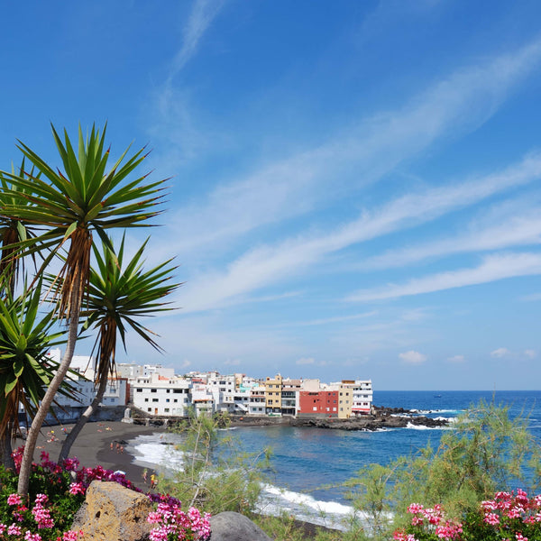 Tenerife – tag en pause fra vinteren