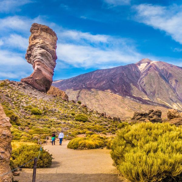 Tenerife – tag en pause fra vinteren